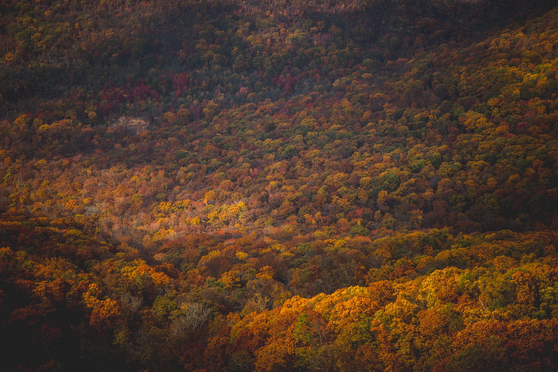 573ba68f7d6b12f56ac36b9e9c8887e4