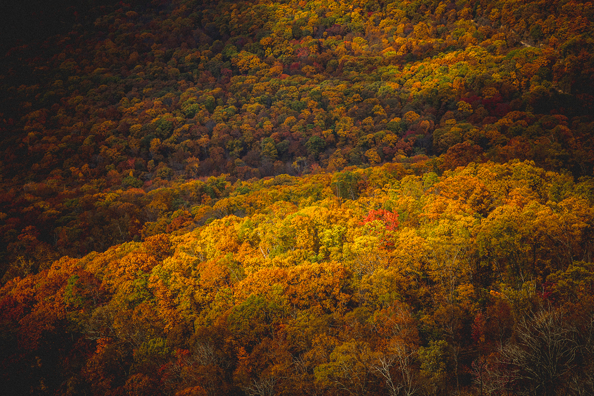Arkansas Fall -18