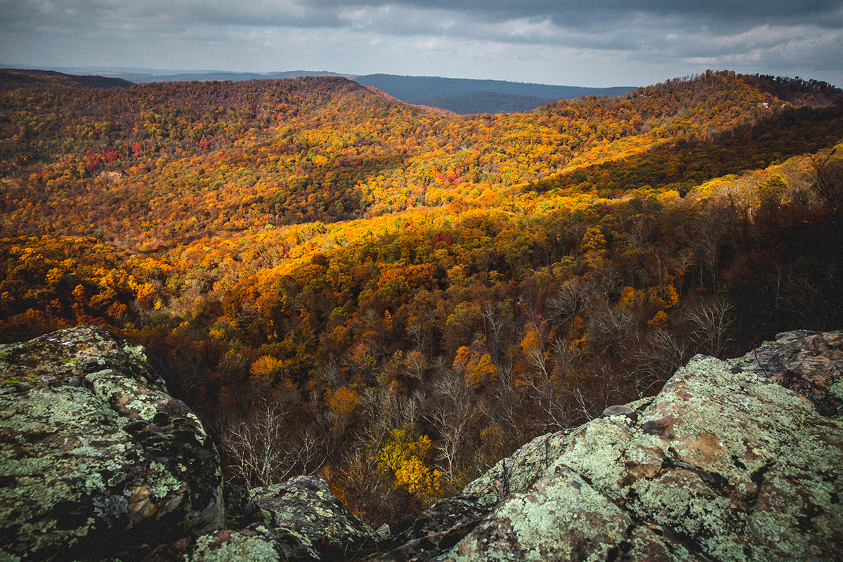 Arkansas Fall -21