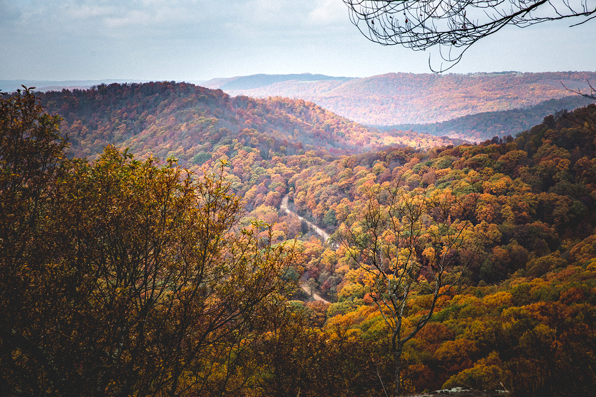 Arkasnas Fall